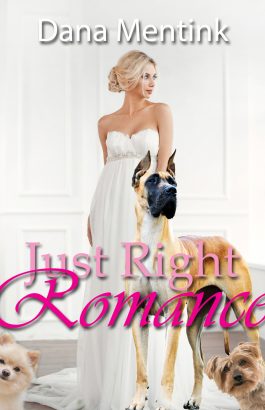 Just Right Romance by Dana Mentink